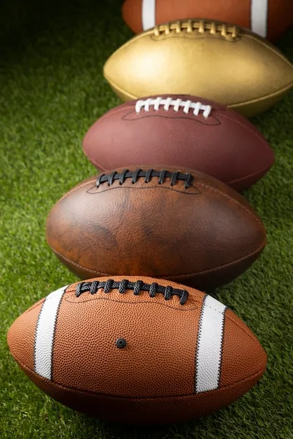 极速体育 官方应用界面